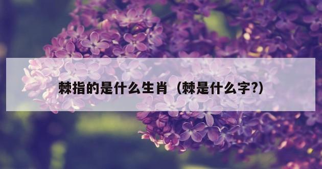 棘指的是什么生肖（棘是什么字?）