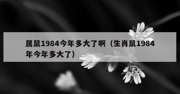 属鼠1984今年多大了啊（生肖鼠1984年今年多大了）