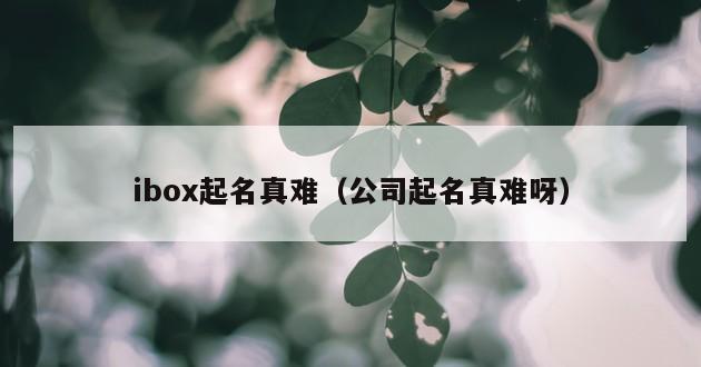 ibox起名真难（公司起名真难呀）