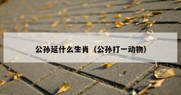 公孙延什么生肖（公孙打一动物）