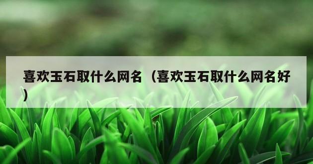 喜欢玉石取什么网名（喜欢玉石取什么网名好）