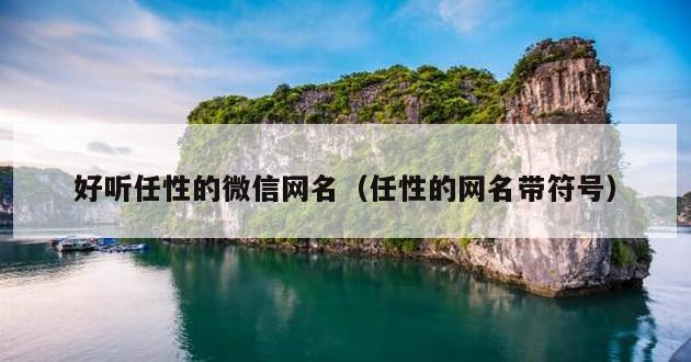 好听任性的微信网名（任性的网名带符号）