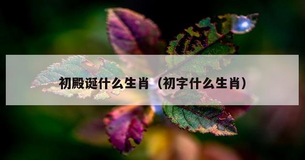 初殿诞什么生肖（初字什么生肖）