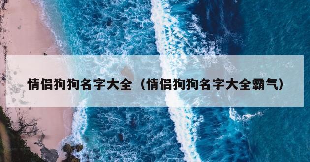 情侣狗狗名字大全（情侣狗狗名字大全霸气）