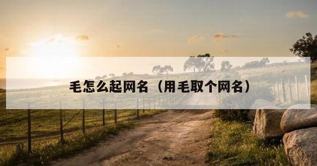 毛怎么起网名（用毛取个网名）