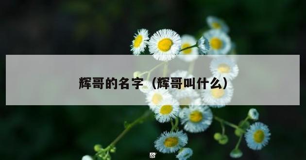 辉哥的名字（辉哥叫什么）