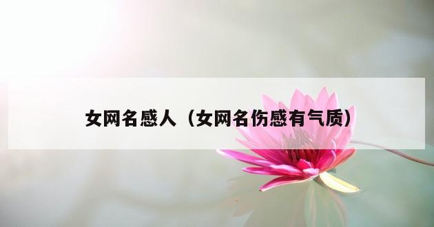 女网名感人（女网名伤感有气质）