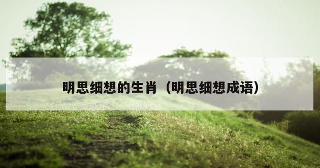 明思细想的生肖（明思细想成语）