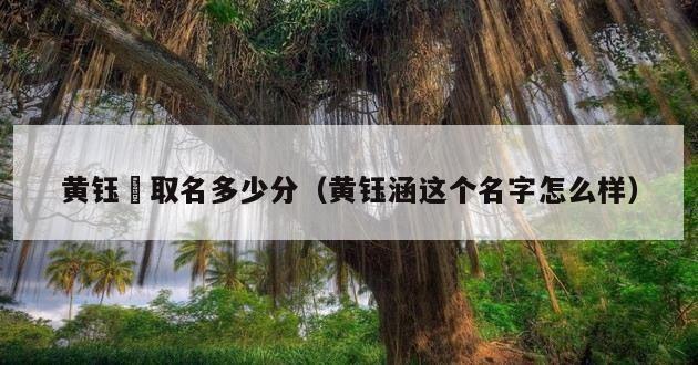 黄钰瑄取名多少分（黄钰涵这个名字怎么样）