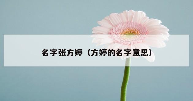 名字张方婷（方婷的名字意思）