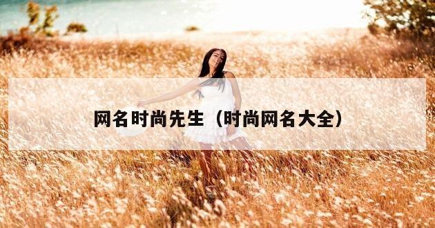 网名时尚先生（时尚网名大全）