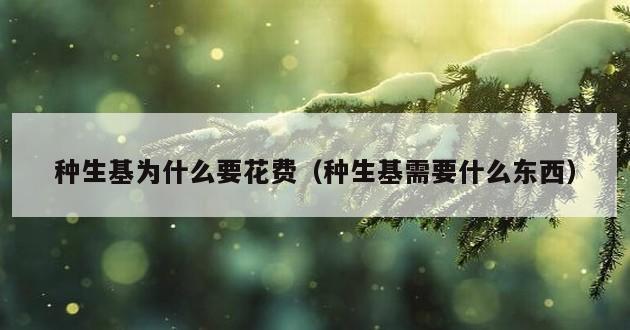 种生基为什么要花费（种生基需要什么东西）