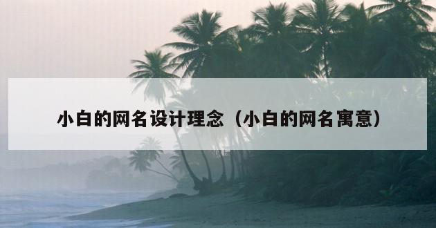 小白的网名设计理念（小白的网名寓意）