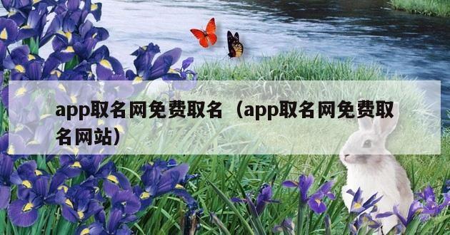 app取名网免费取名（app取名网免费取名网站）