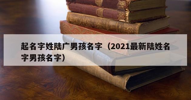 起名字姓陆广男孩名字（2021最新陆姓名字男孩名字）