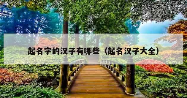 起名字的汉子有哪些（起名汉子大全）