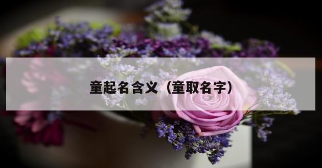 童起名含义（童取名字）