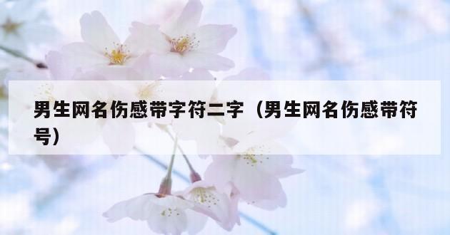 男生网名伤感带字符二字（男生网名伤感带符号）