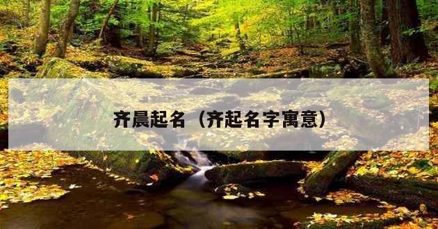 齐晨起名（齐起名字寓意）