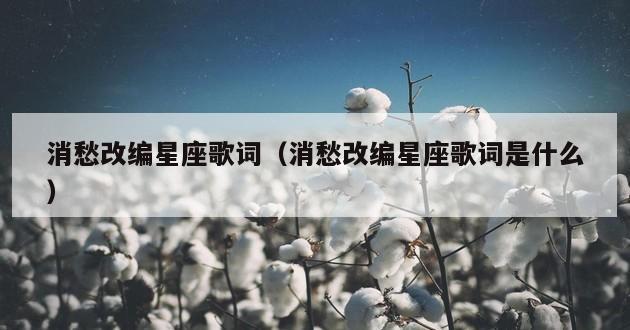 消愁改编星座歌词（消愁改编星座歌词是什么）