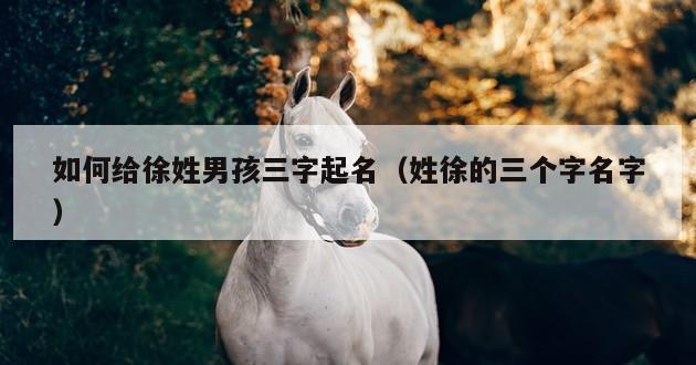 如何给徐姓男孩三字起名（姓徐的三个字名字）