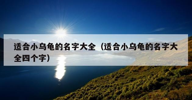 适合小乌龟的名字大全（适合小乌龟的名字大全四个字）