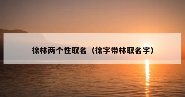 徐林两个性取名（徐字带林取名字）