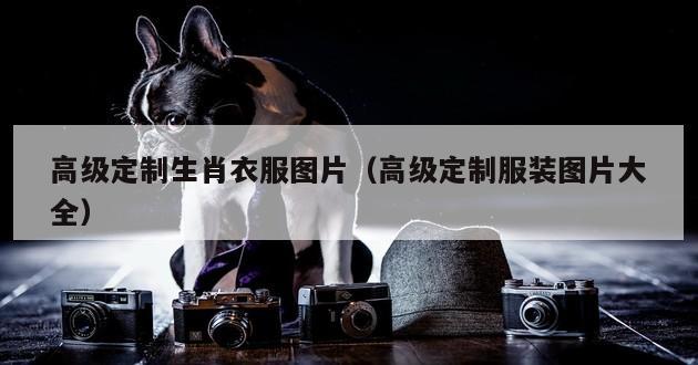 高级定制生肖衣服图片（高级定制服装图片大全）