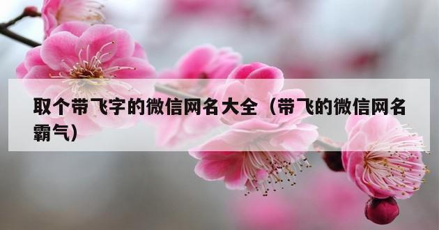 取个带飞字的微信网名大全（带飞的微信网名霸气）