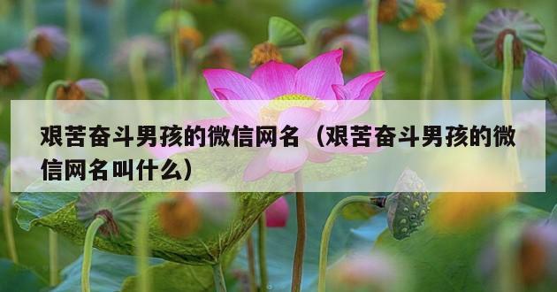 艰苦奋斗男孩的微信网名（艰苦奋斗男孩的微信网名叫什么）