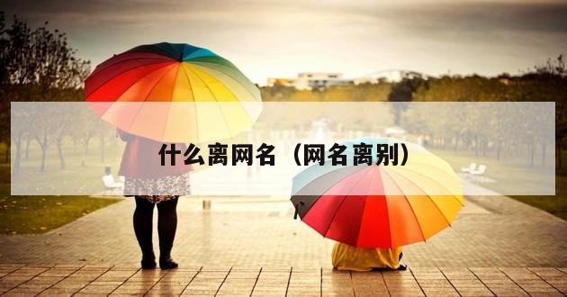 什么离网名（网名离别）