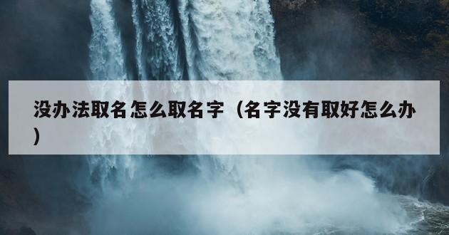 没办法取名怎么取名字（名字没有取好怎么办）