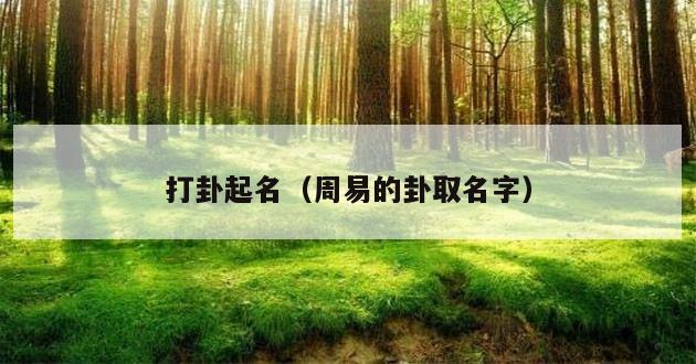 打卦起名（周易的卦取名字）