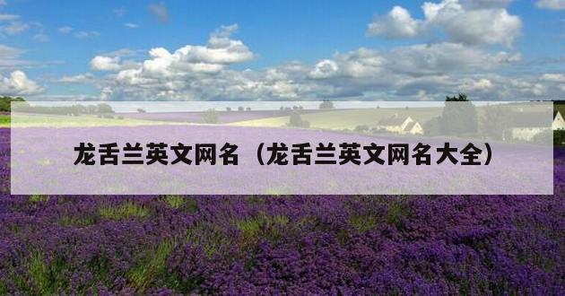 龙舌兰英文网名（龙舌兰英文网名大全）