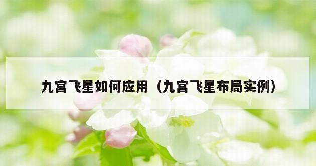 九宫飞星如何应用（九宫飞星布局实例）