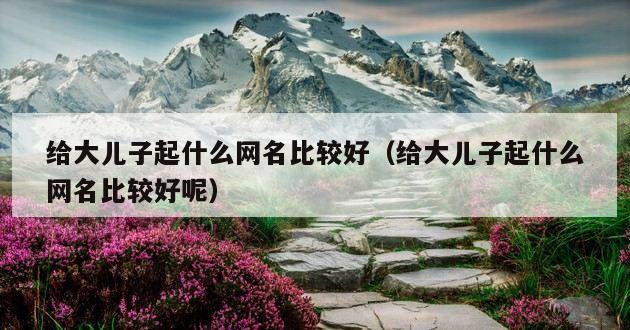 给大儿子起什么网名比较好（给大儿子起什么网名比较好呢）