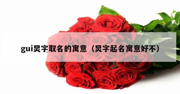 gui炅字取名的寓意（炅字起名寓意好不）