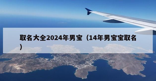 取名大全2024年男宝（14年男宝宝取名）