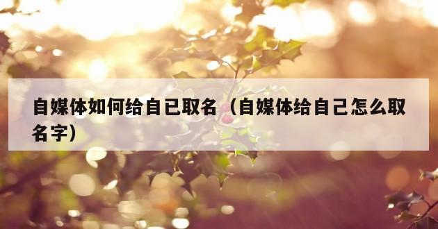 自媒体如何给自已取名（自媒体给自己怎么取名字）