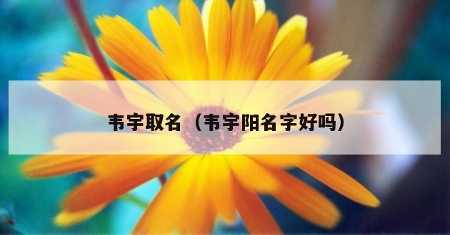 韦宇取名（韦宇阳名字好吗）