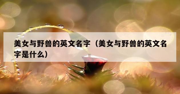 美女与野兽的英文名字（美女与野兽的英文名字是什么）