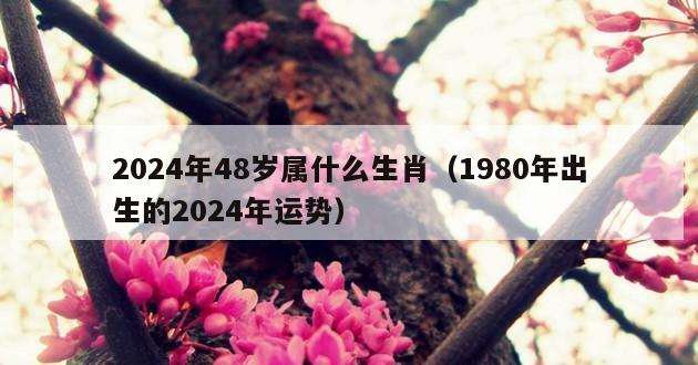 2024年48岁属什么生肖（1980年出生的2024年运势）