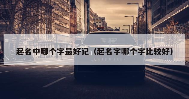 起名中哪个字最好记（起名字哪个字比较好）