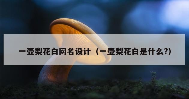 一壶梨花白网名设计（一壶梨花白是什么?）