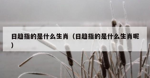 日趋指的是什么生肖（日趋指的是什么生肖呢）