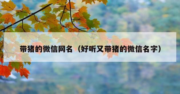 带猪的微信网名（好听又带猪的微信名字）