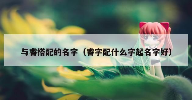 与睿搭配的名字（睿字配什么字起名字好）