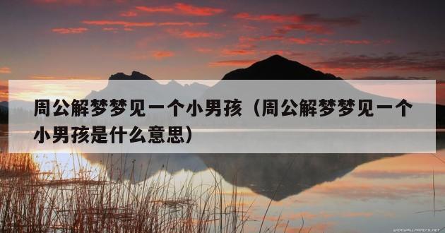 周公解梦梦见一个小男孩（周公解梦梦见一个小男孩是什么意思）