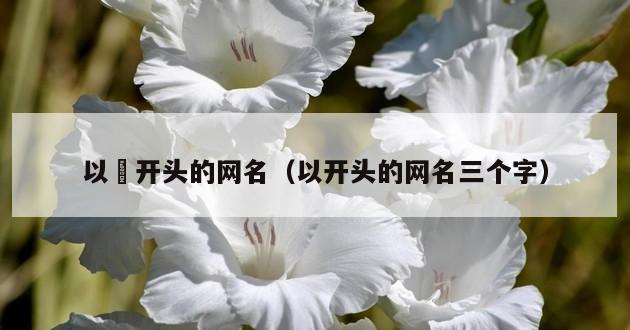 以颾开头的网名（以开头的网名三个字）