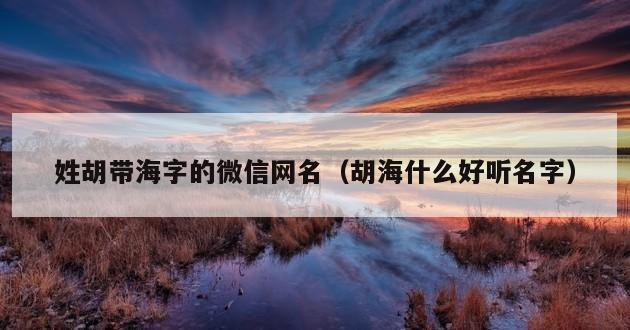 姓胡带海字的微信网名（胡海什么好听名字）